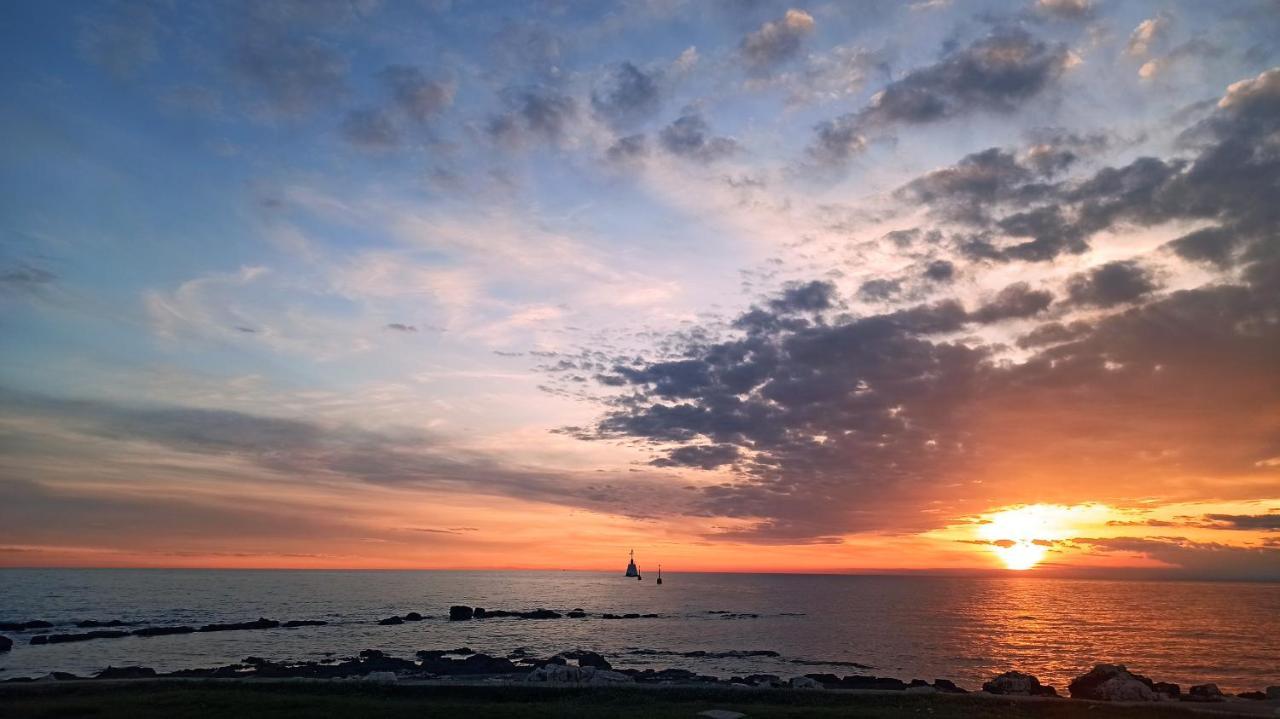 Apartment Kovacic-punta *